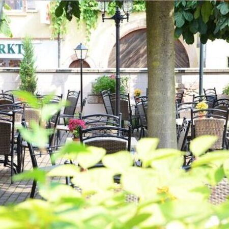 Der Sommergarten vom Weinhaus Becker, ausgestattet mit Pflanzen und Essgarnituren aus runden Tischen und Stühlen in Rattanoptik